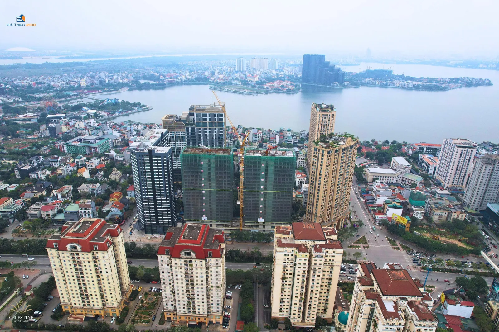 Hình thực tế 6 Celestine Westlake